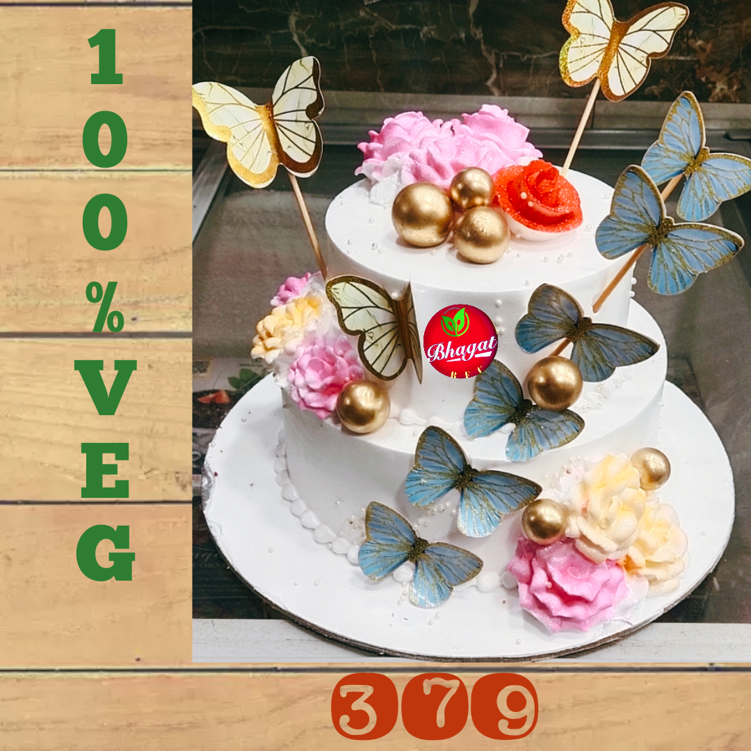 2 LAYER BUTTERFLY 🦋 CAKE