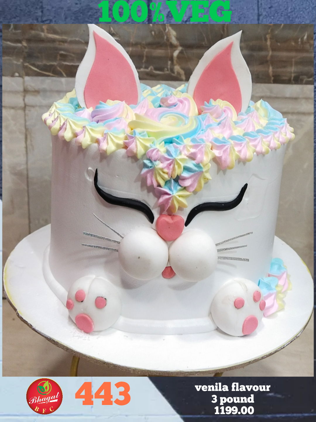 CAT CAKE