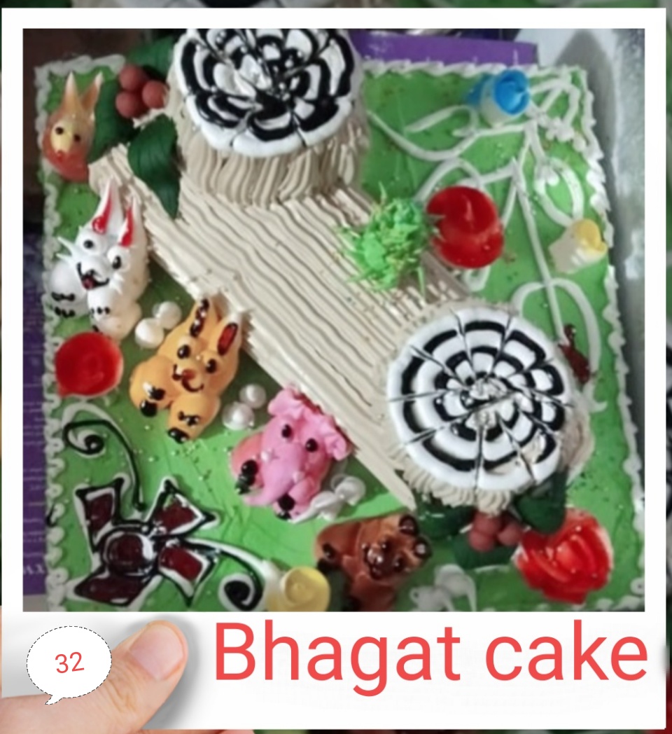 JUNGLE CAKE